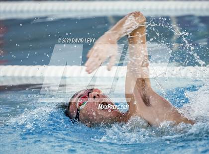 Thumbnail 2 in Chandler @ Basha photogallery.