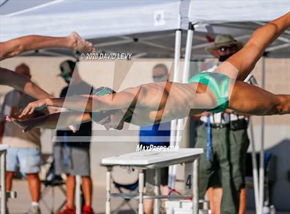 Thumbnail 1 in Chandler @ Basha photogallery.
