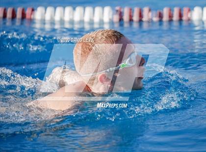 Thumbnail 1 in Chandler @ Basha photogallery.