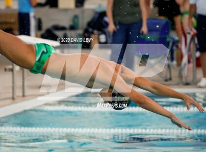 Thumbnail 3 in Chandler @ Basha photogallery.