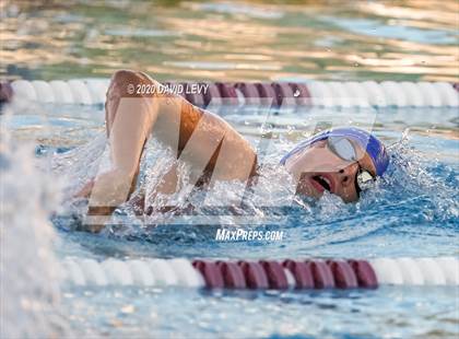 Thumbnail 3 in Chandler @ Basha photogallery.