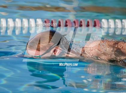 Thumbnail 1 in Chandler @ Basha photogallery.