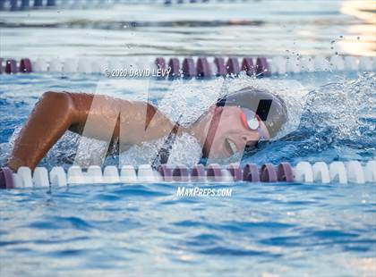Thumbnail 2 in Chandler @ Basha photogallery.
