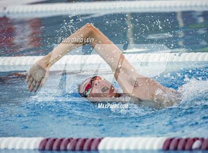 Thumbnail 3 in Chandler @ Basha photogallery.