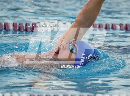 Thumbnail 2 in Chandler @ Basha photogallery.