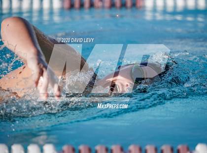 Thumbnail 1 in Chandler @ Basha photogallery.