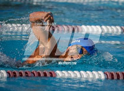 Thumbnail 3 in Chandler @ Basha photogallery.