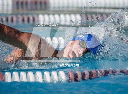 Thumbnail 2 in Chandler @ Basha photogallery.
