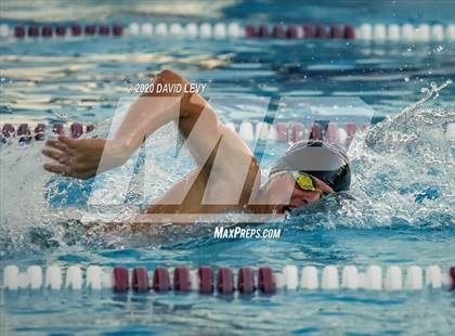 Thumbnail 1 in Chandler @ Basha photogallery.