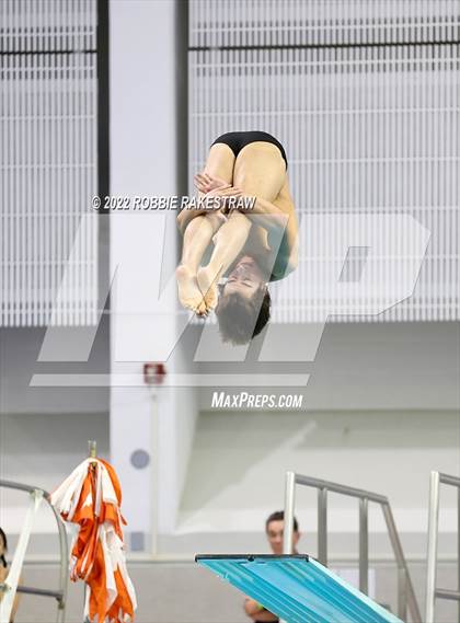 Thumbnail 3 in UIL 6A Boys Swimming & Diving State Finals photogallery.