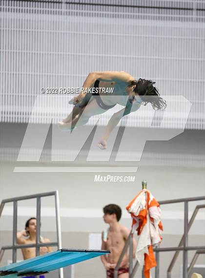 Thumbnail 2 in UIL 6A Boys Swimming & Diving State Finals photogallery.