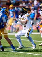 Photo from the gallery "Spring Woods @ Milby"