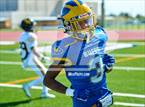 Photo from the gallery "Spring Woods @ Milby"