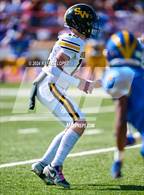 Photo from the gallery "Spring Woods @ Milby"
