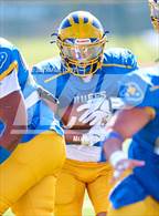 Photo from the gallery "Spring Woods @ Milby"