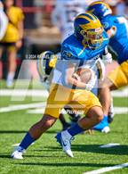 Photo from the gallery "Spring Woods @ Milby"