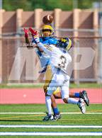 Photo from the gallery "Spring Woods @ Milby"