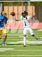 Photo from the gallery "Spring Woods @ Milby"