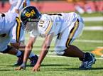 Photo from the gallery "Spring Woods @ Milby"
