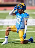 Photo from the gallery "Spring Woods @ Milby"