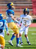 Photo from the gallery "Spring Woods @ Milby"