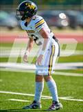 Photo from the gallery "Spring Woods @ Milby"