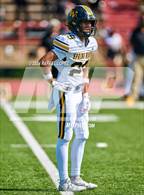 Photo from the gallery "Spring Woods @ Milby"