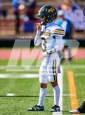 Photo from the gallery "Spring Woods @ Milby"