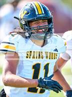 Photo from the gallery "Spring Woods @ Milby"