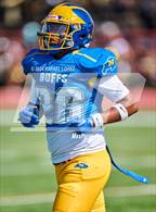 Photo from the gallery "Spring Woods @ Milby"