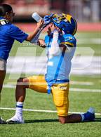 Photo from the gallery "Spring Woods @ Milby"