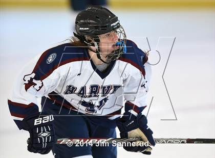 Thumbnail 1 in Harvey vs Mahopac (Guy Mathews Invitational Tournament) photogallery.