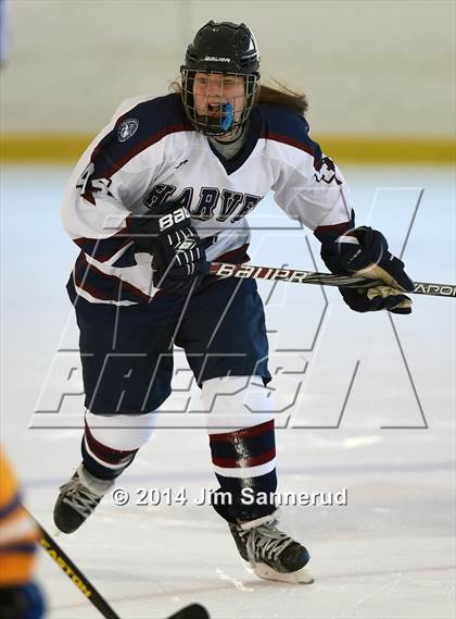 Thumbnail 3 in Harvey vs Mahopac (Guy Mathews Invitational Tournament) photogallery.
