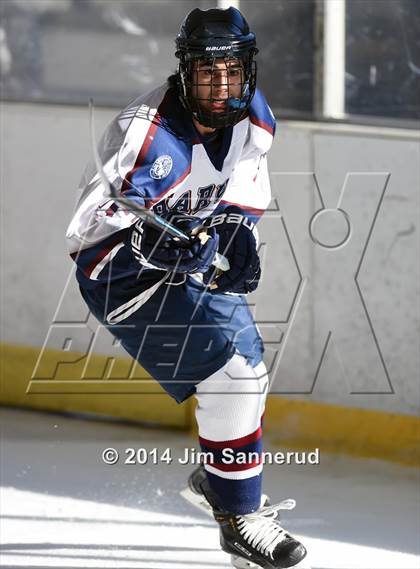 Thumbnail 3 in Harvey vs Mahopac (Guy Mathews Invitational Tournament) photogallery.