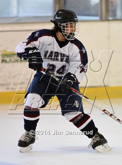 Thumbnail 1 in Harvey vs Mahopac (Guy Mathews Invitational Tournament) photogallery.
