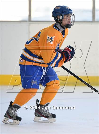 Thumbnail 1 in Harvey vs Mahopac (Guy Mathews Invitational Tournament) photogallery.