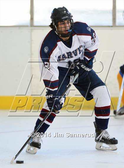 Thumbnail 3 in Harvey vs Mahopac (Guy Mathews Invitational Tournament) photogallery.