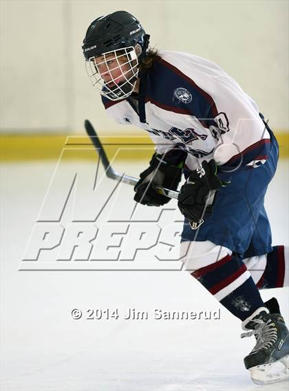 Thumbnail 1 in Harvey vs Mahopac (Guy Mathews Invitational Tournament) photogallery.