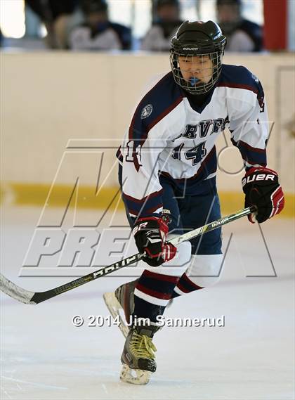 Thumbnail 1 in Harvey vs Mahopac (Guy Mathews Invitational Tournament) photogallery.