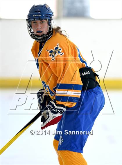 Thumbnail 1 in Harvey vs Mahopac (Guy Mathews Invitational Tournament) photogallery.