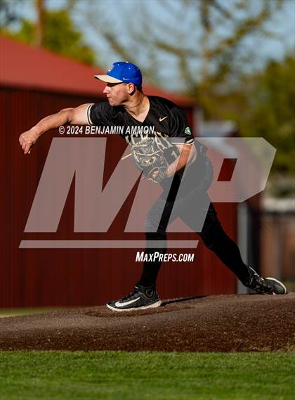Thumbnail 1 in South Albany @ McKay photogallery.
