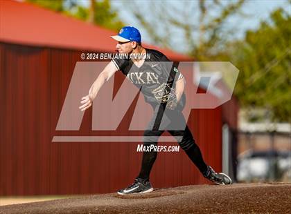 Thumbnail 3 in South Albany @ McKay photogallery.