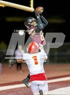 Photo from the gallery "Chico @ Whitney"