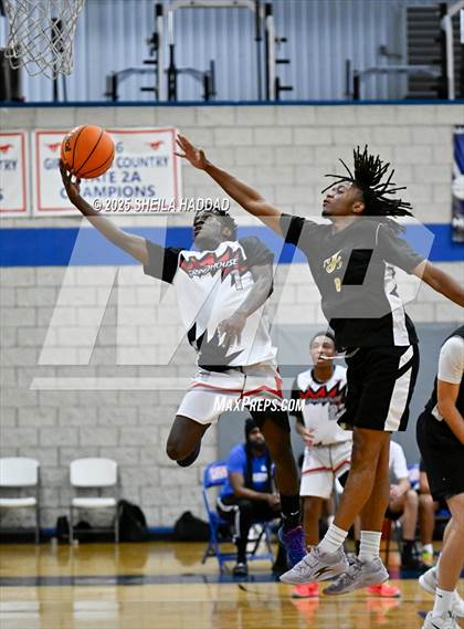 Thumbnail 3 in Northeast vs Wiregrass Ranch  (Hoopvibe - Preseason) photogallery.