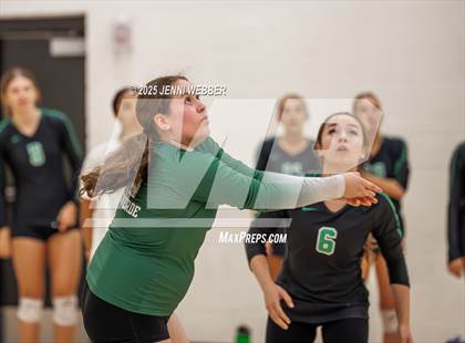 Thumbnail 2 in 'Iolani vs. Palo Verde (Durango Fall Classic) photogallery.