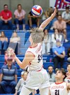Photo from the gallery "Central @ Buchanan"