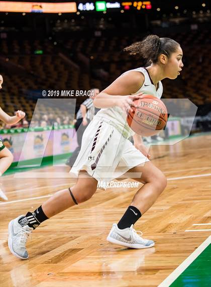 Thumbnail 3 in Nashoba Regional vs Algonquin Regional (TD Garden Good Sports Invitational) photogallery.