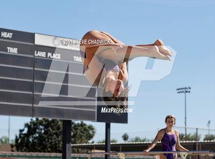 Thumbnail 2 in AIA Division I,III Diving Finals photogallery.