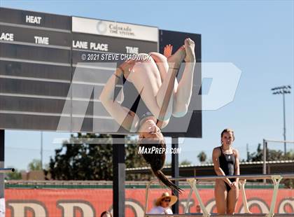 Thumbnail 1 in AIA Division I,III Diving Finals photogallery.