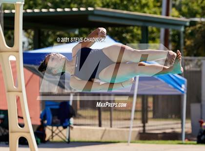 Thumbnail 1 in AIA Division I,III Diving Finals photogallery.